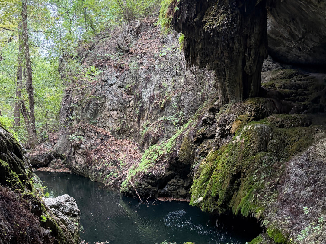 Westcave Outdoor Discovery Center-奥斯丁必去景点