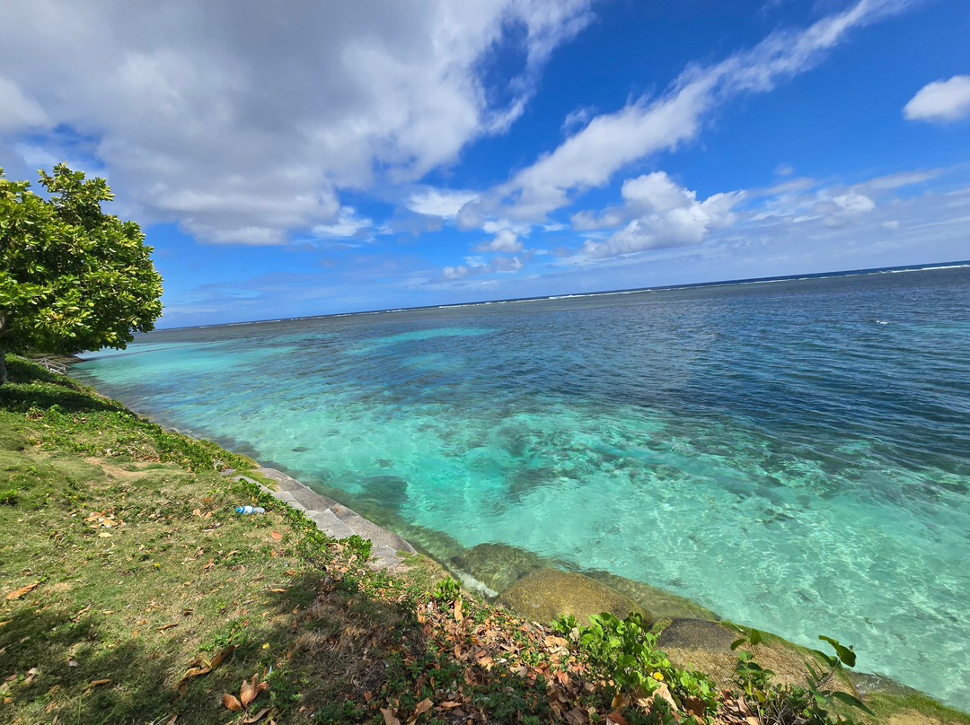 Tanu Beach Fales - Via Samoa Scenic主图