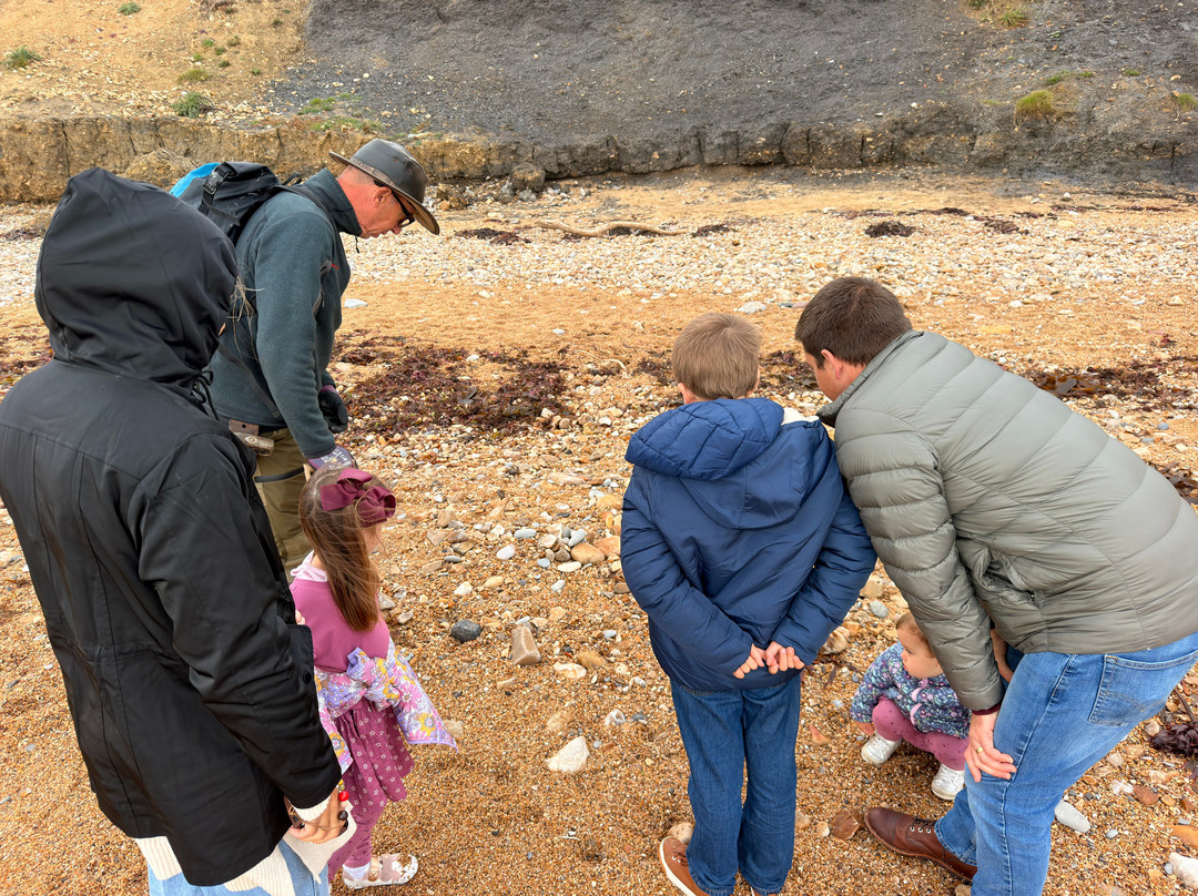 Jurassic Coast Guides-Charmouth必去景点