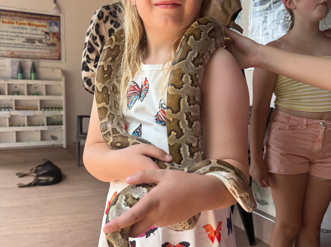 Snake Farm Weligama (Traditional Farm)-瓦勒迦玛必去景点