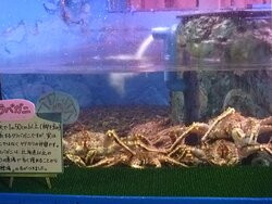 Wakkanai City Noshappu Aquarium-稚内市必去景点