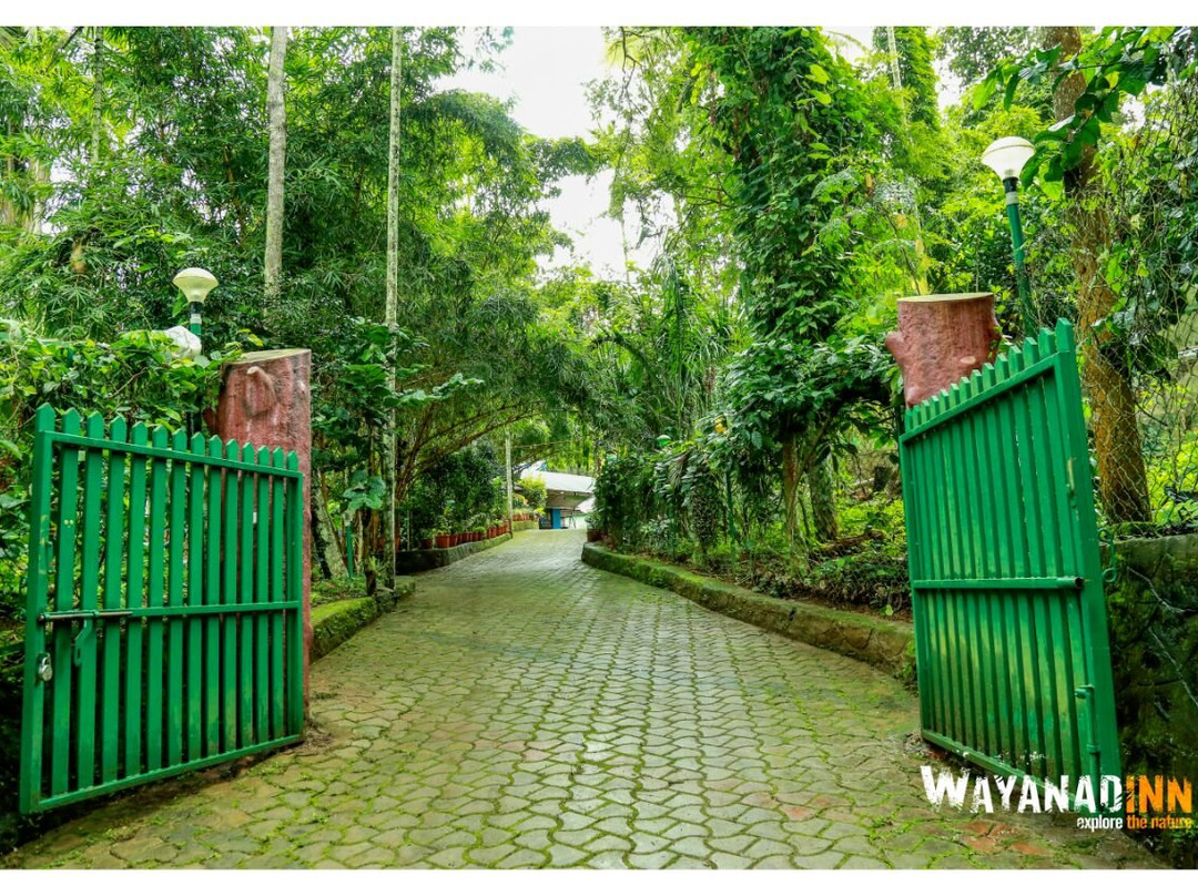 Jungle Inn Wayanad