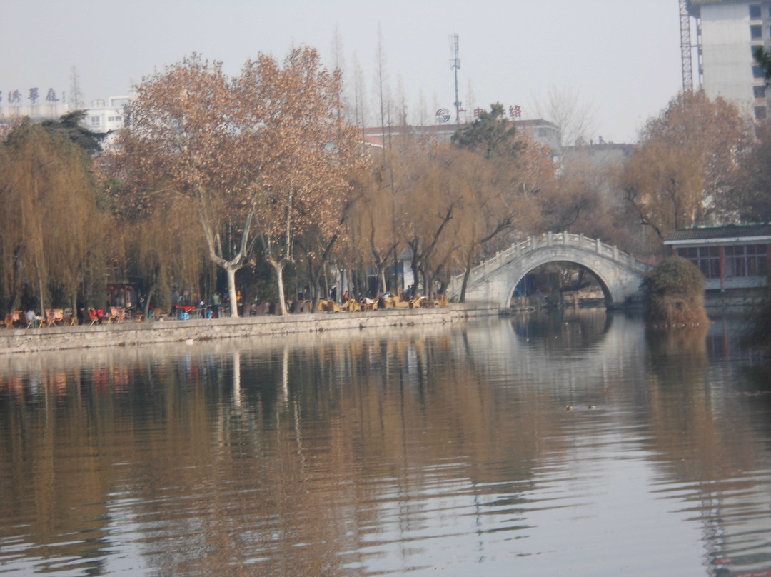 汉中莲花池公园景点图片