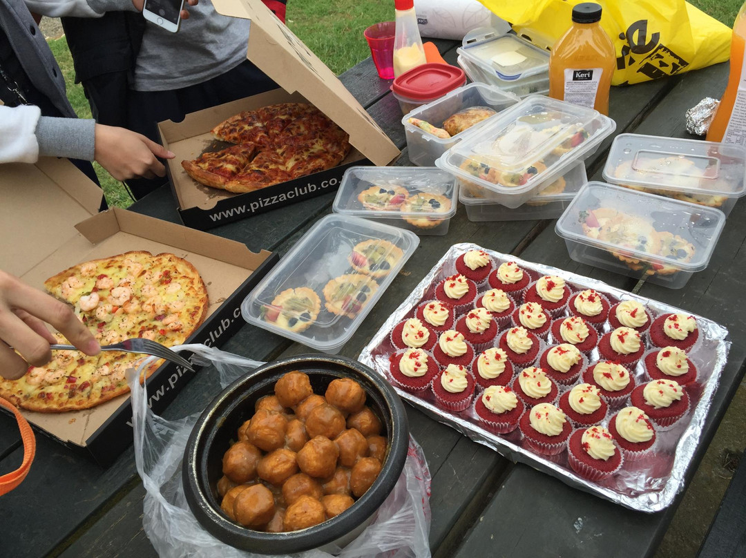 Point View Reserve-奥克兰中心地区必去景点