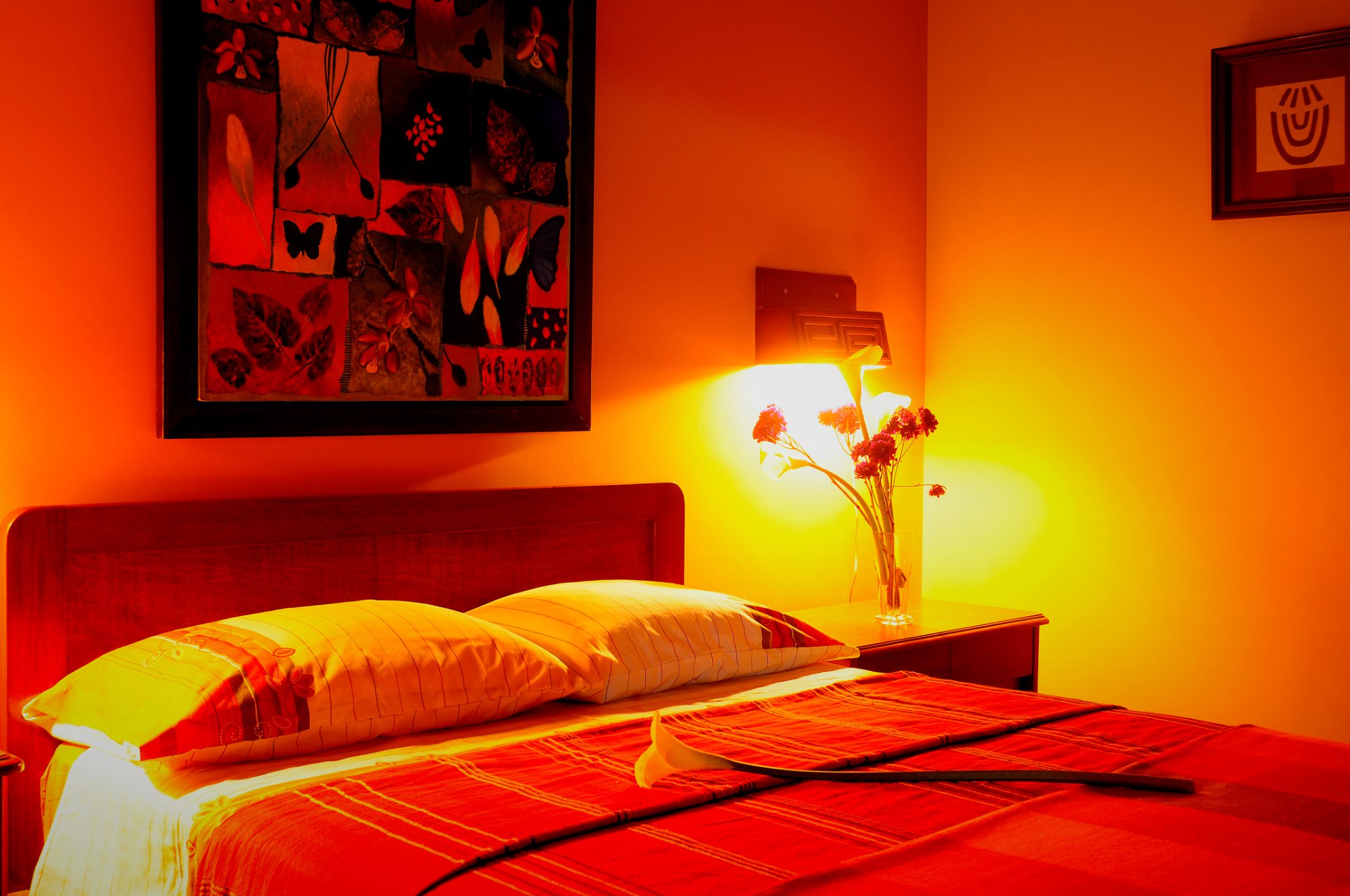 Hotel Vilaya-官方