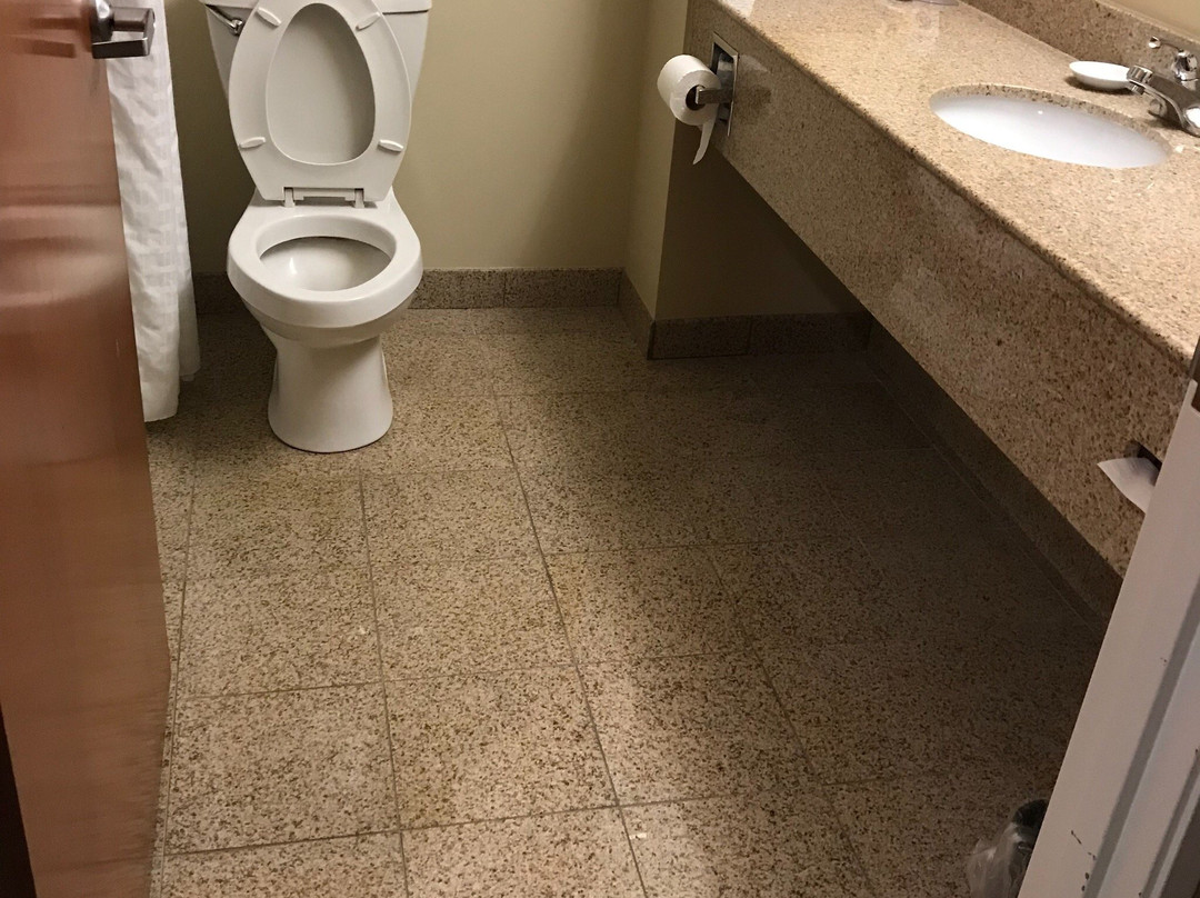 Comfort Inn & Suites主图