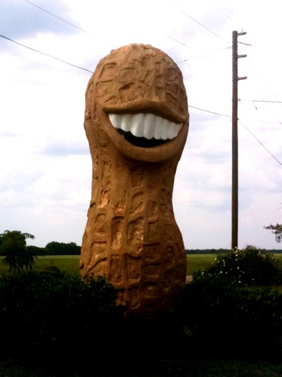 Jimmy Carter Peanut of Plains Statue景点图片