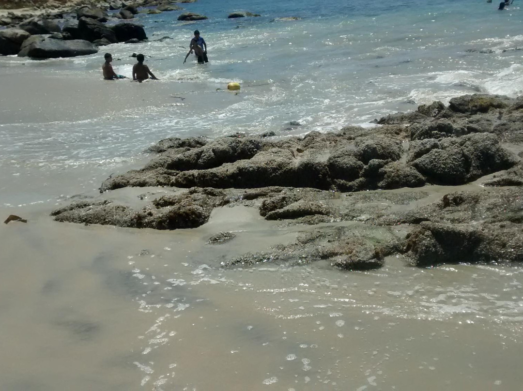 Playa Punta De Tralca景点图片