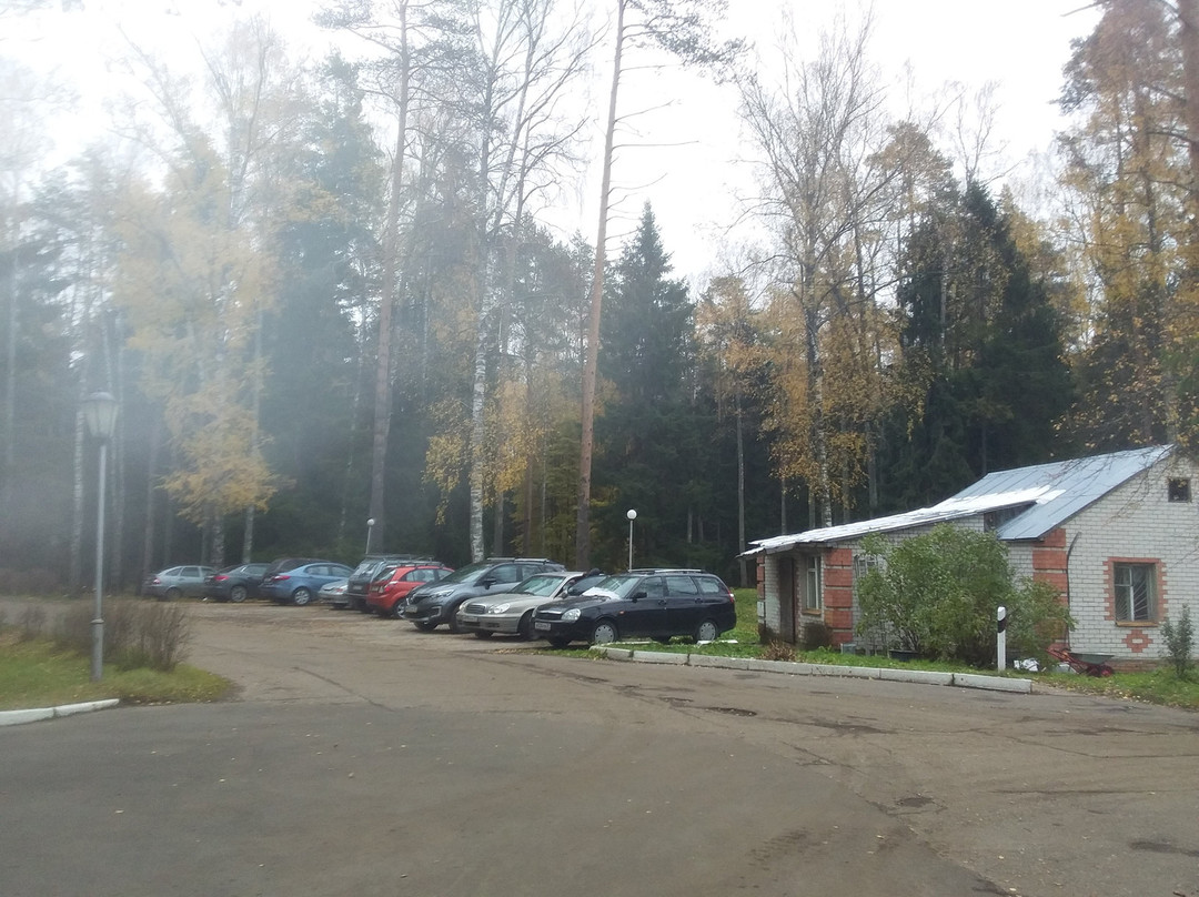 Sanatoriy Zelenyy gorodok