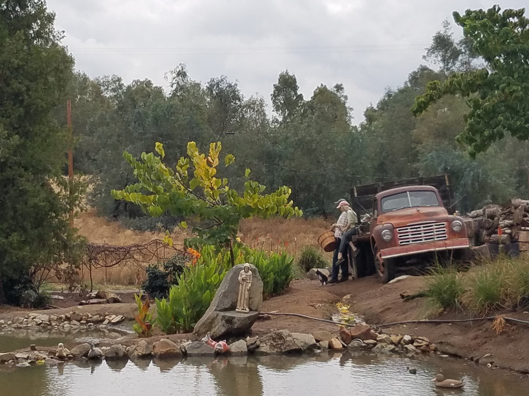 Hooverville Orchards-普莱瑟维尔必去景点
