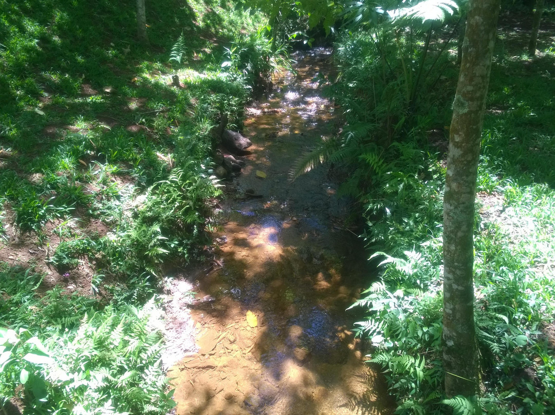 JR Vinhos & Companhia-圣安东尼奥杜皮尼亚尔必去景点