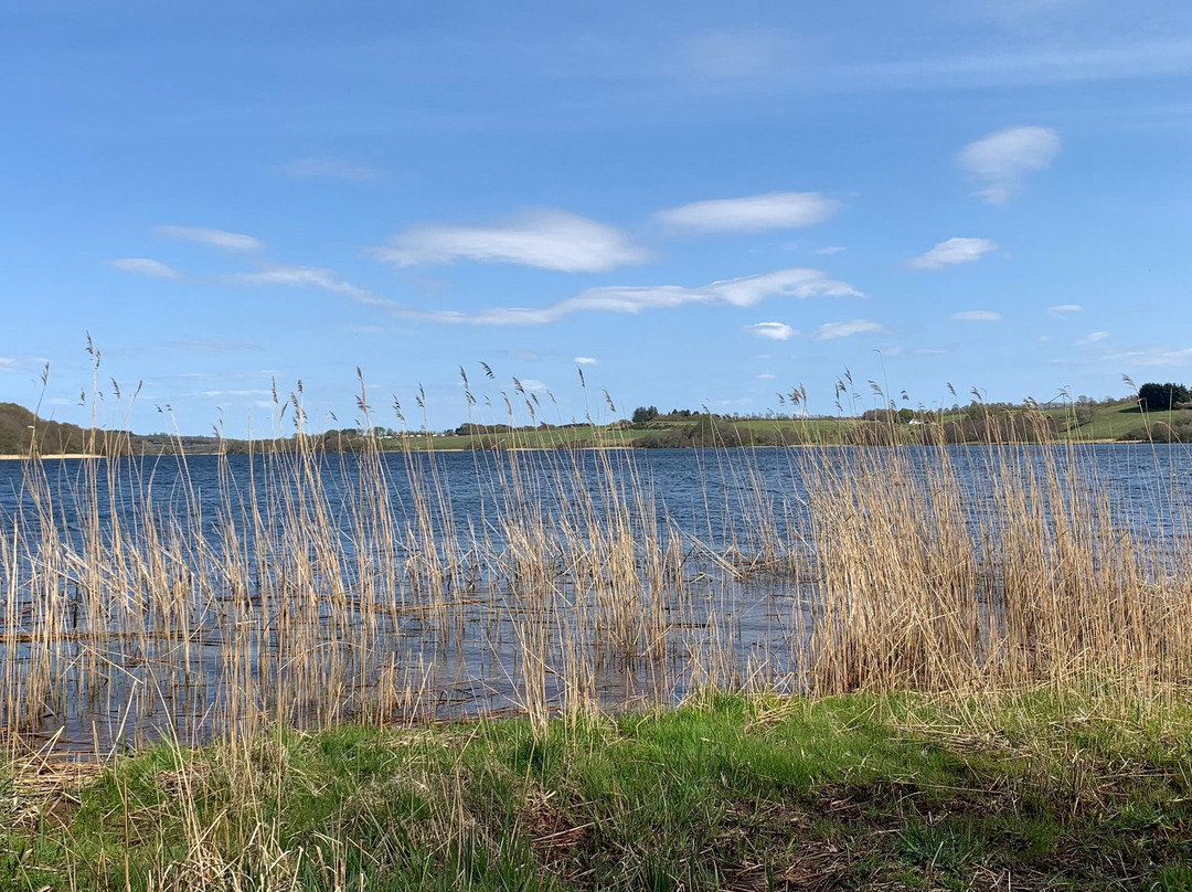 Fårup Sø景点图片