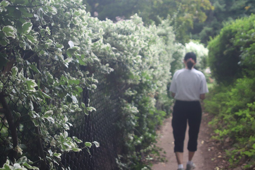 Steve Bauer Trails, Fonthill-方特希尔必去景点