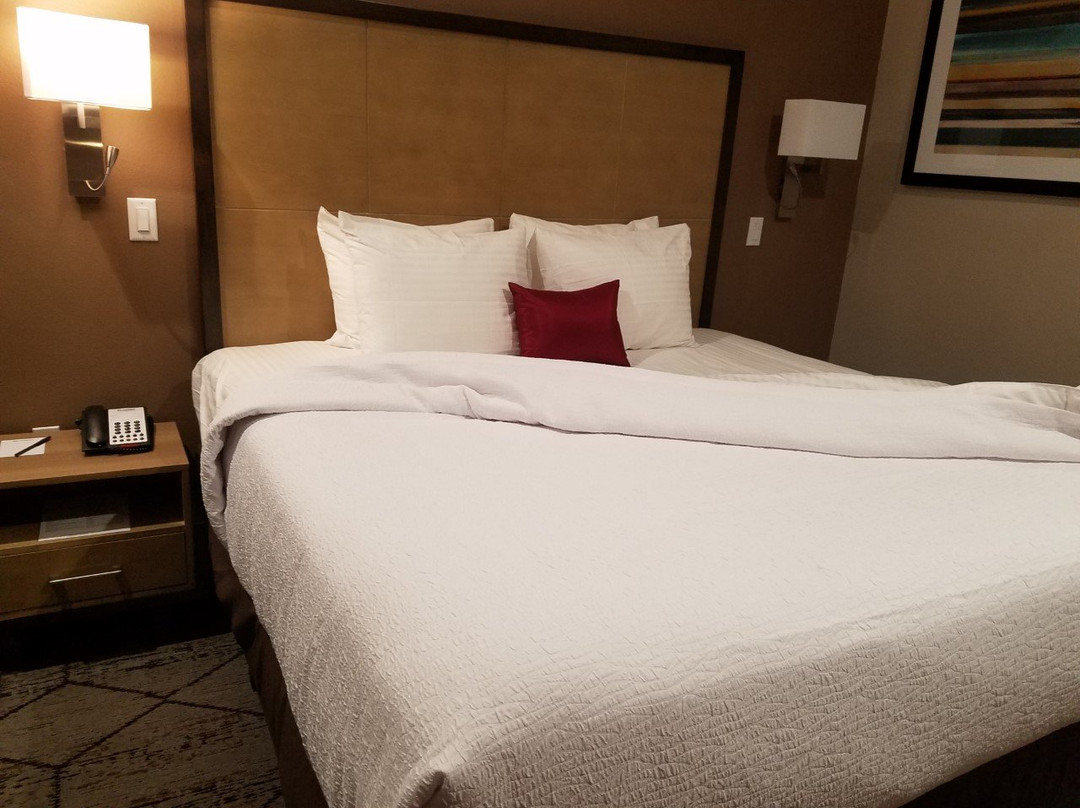 Banquete酒店住宿-Best Western Plus Executive Residency IH-37 Corpus Christi