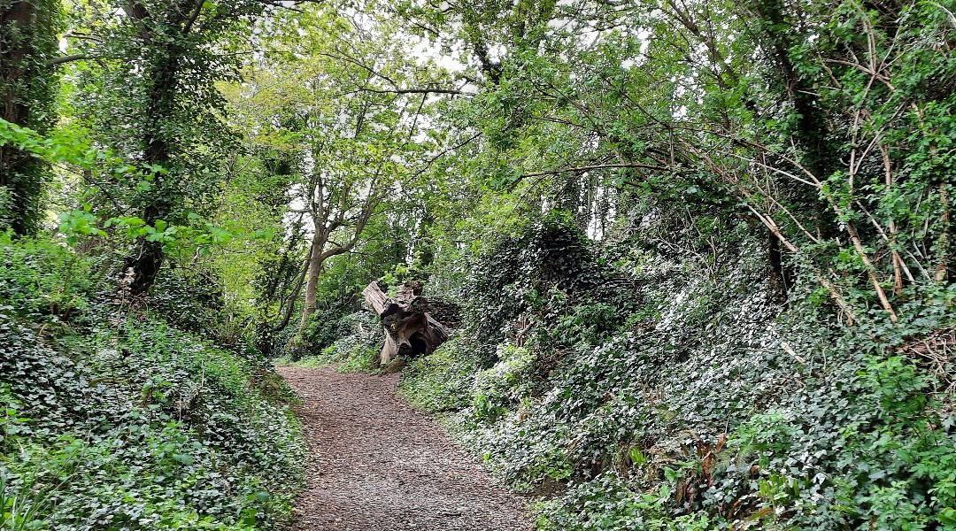 Townley Hall Wood-Tullyallen必去景点