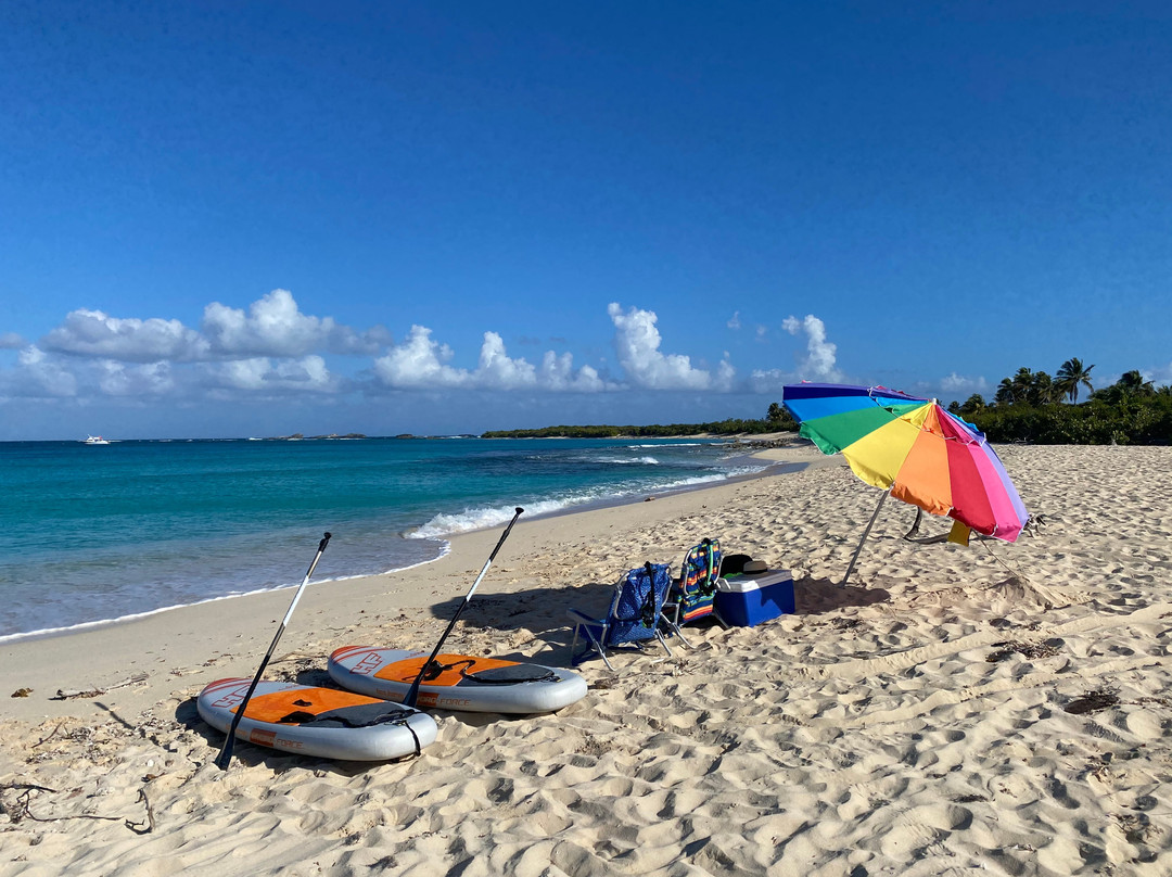 East Coast Water Taxi-法哈多必去景点
