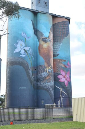 Kaniva Silo Art-Kaniva必去景点