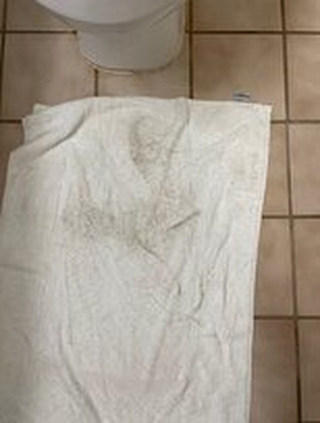 Quality Inn & Suites Dawsonville主图