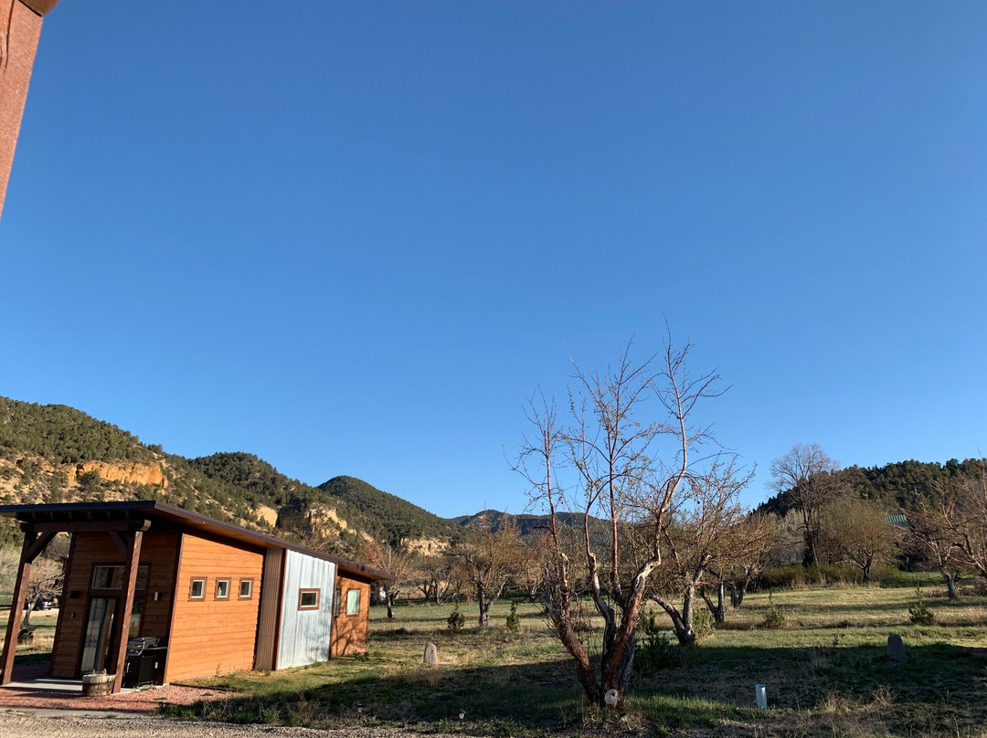 Apple Hollow Cabins