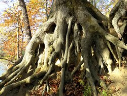 Bowdoin Park-Wappingers Falls必去景点