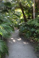 McKee Botanical Garden景点图片