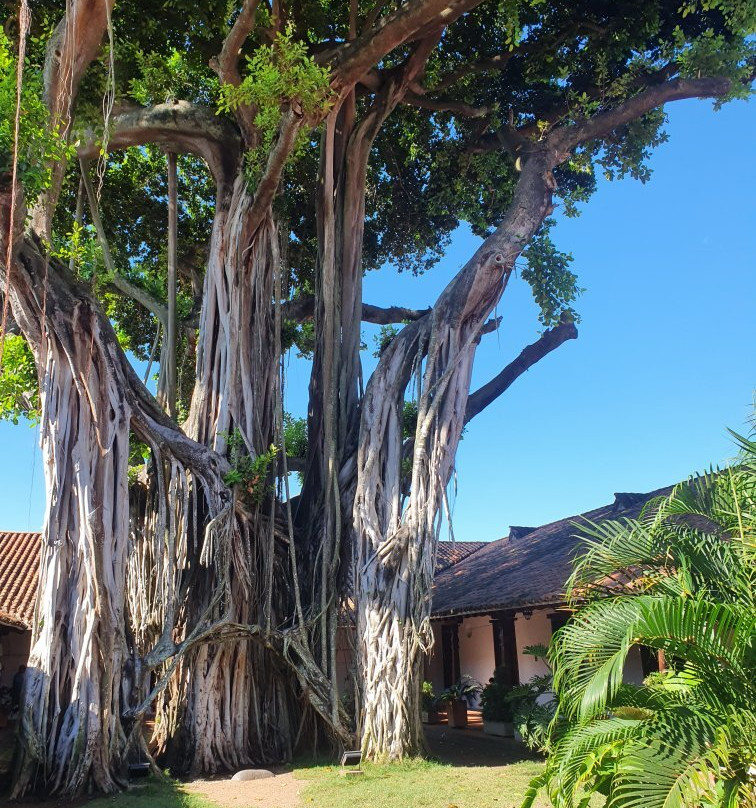 Hostal Dona Manuela主图