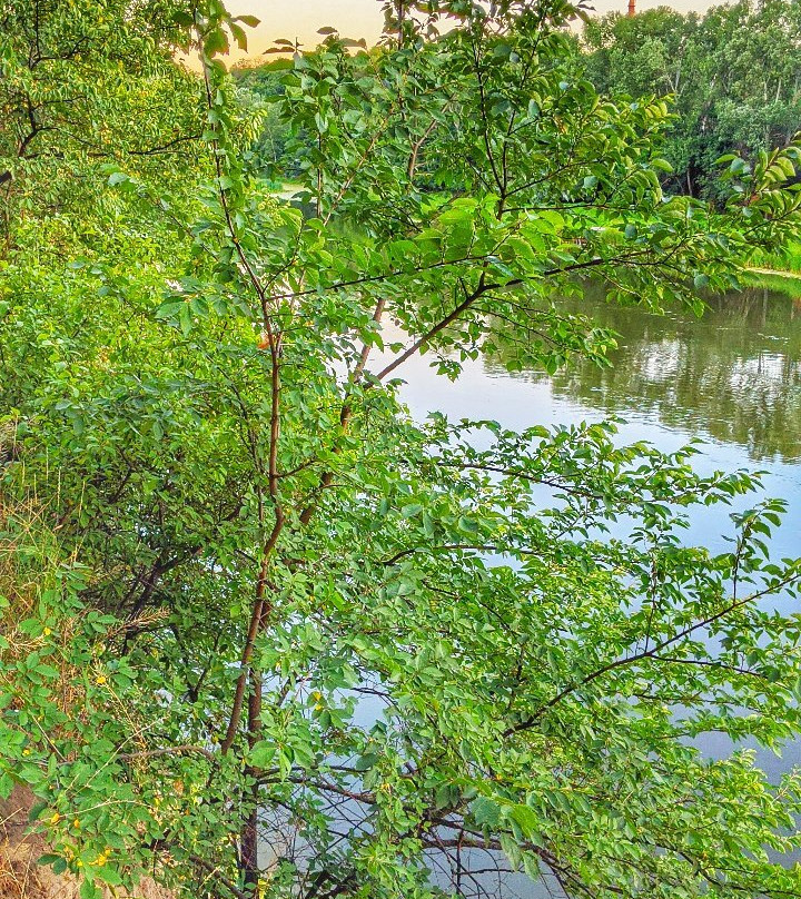 Severskiy Donets River Trail Oaks-Lysychansk必去景点