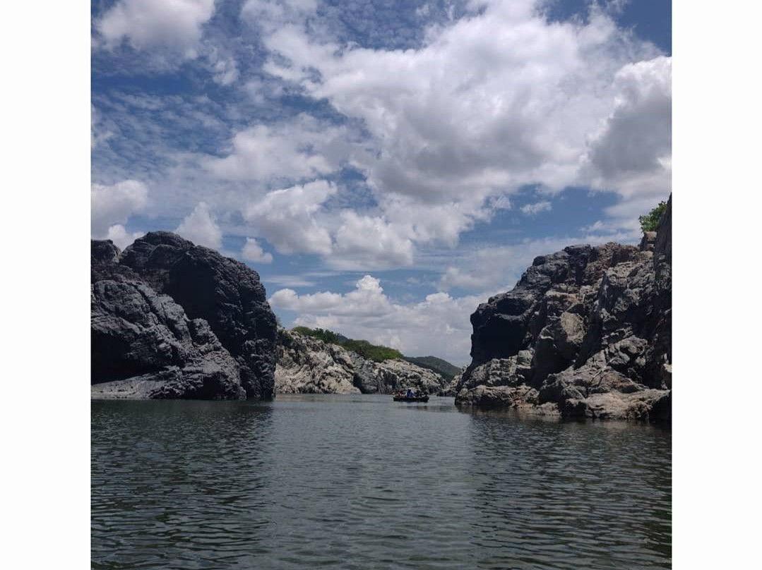 Hogenakkal Falls景点图片
