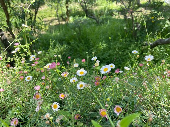 Seclude Ramgarh, Arthouse主图