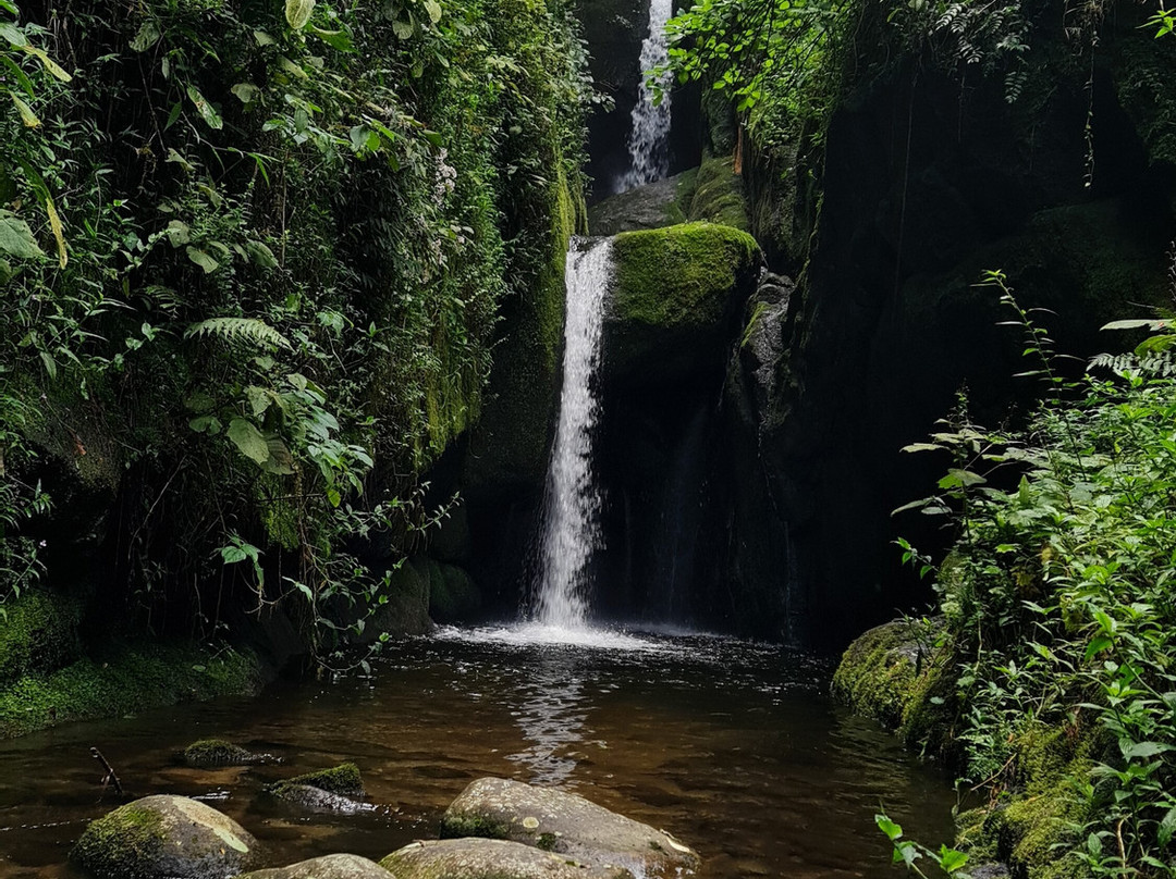 Cachoeira das Andorinhas-Sao Francisco Xavier必去景点