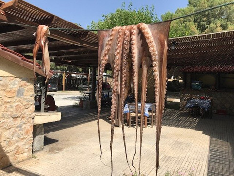 Chania Experience Tours-干尼亚必去景点