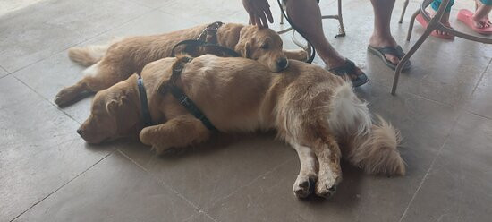 Hotel Fazenda Taquaritinga主图