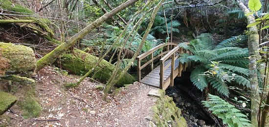 Myrtle Gully Aka Oates Falls景点图片