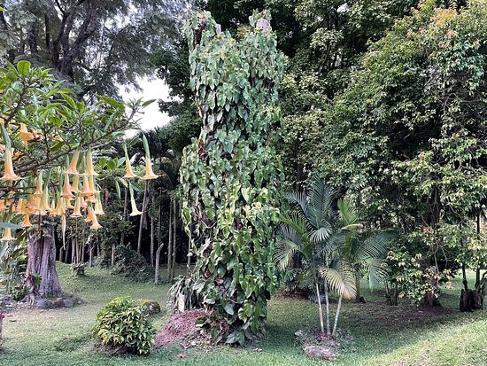 卡萨圣莫妮卡潘瑟酒店主图