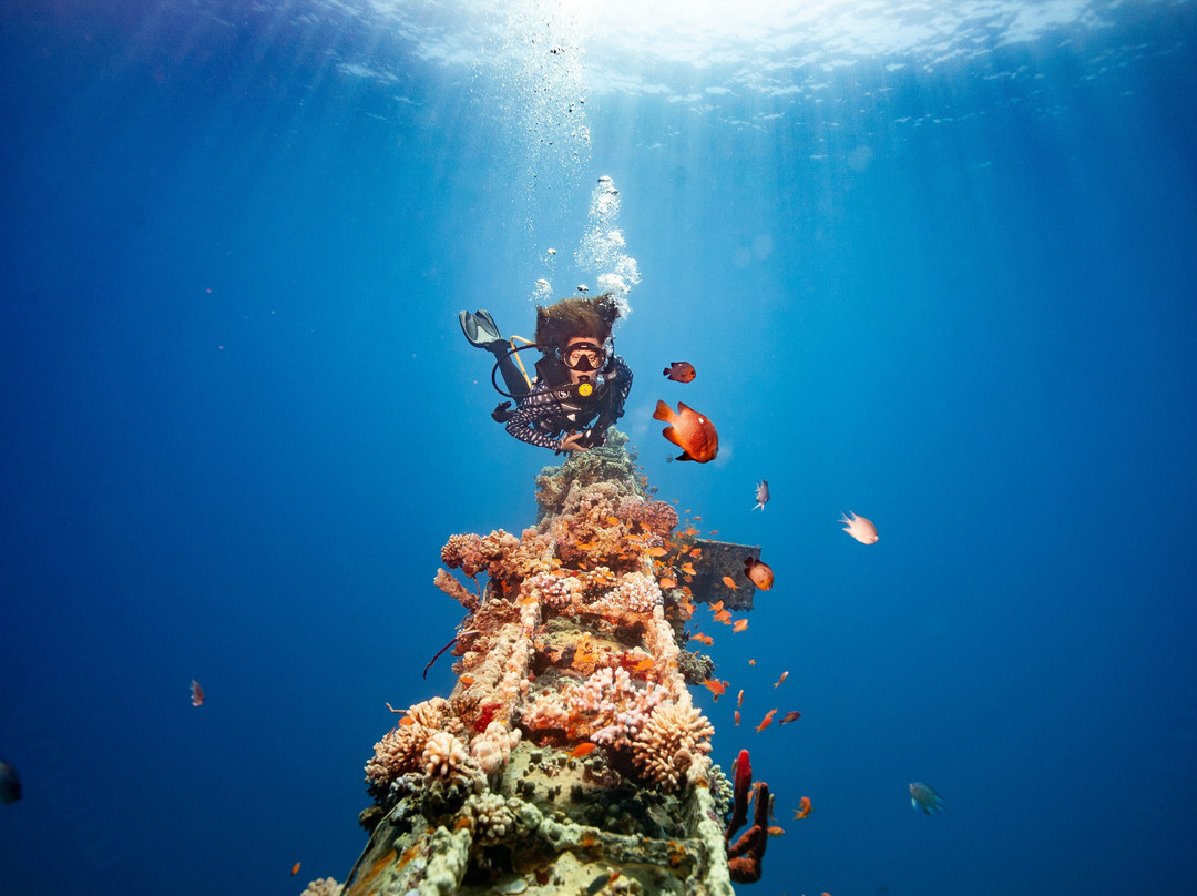 Deep Blue Dive Center-亚喀巴必去景点