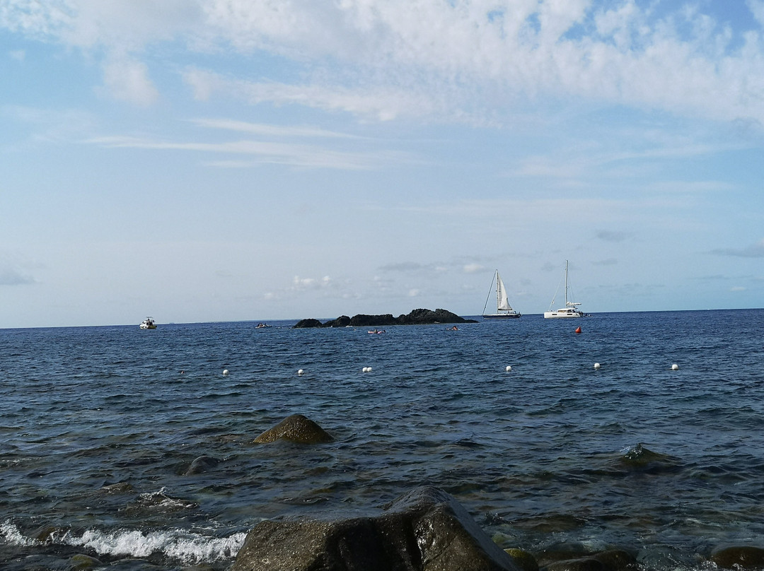 Spiaggia di Pomonte景点图片