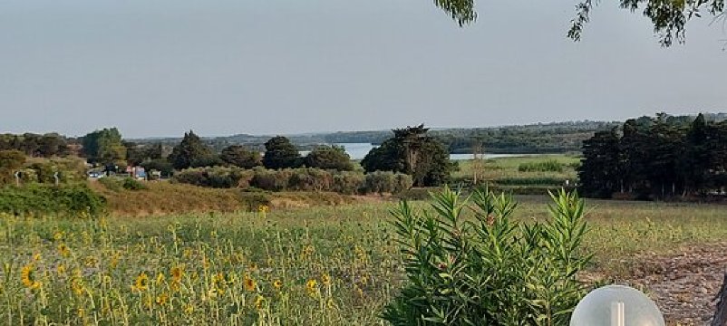 地中海的太阳-官方