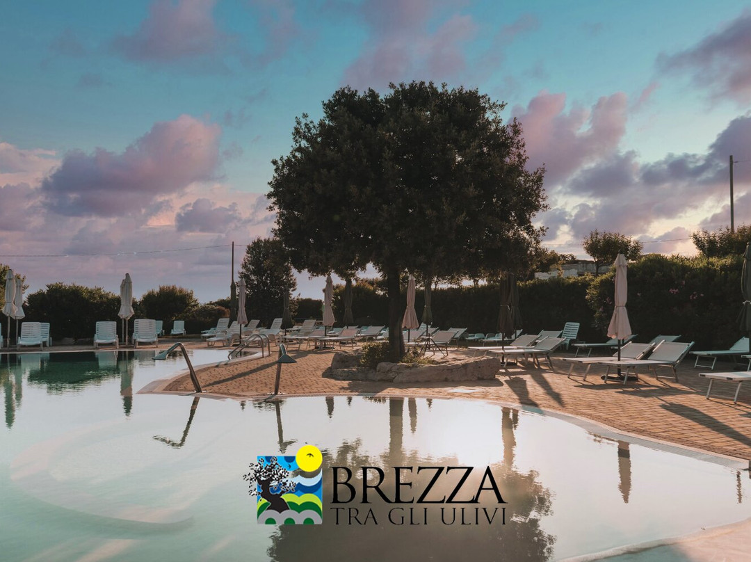 Brezza tra Gli Ulivi Camping