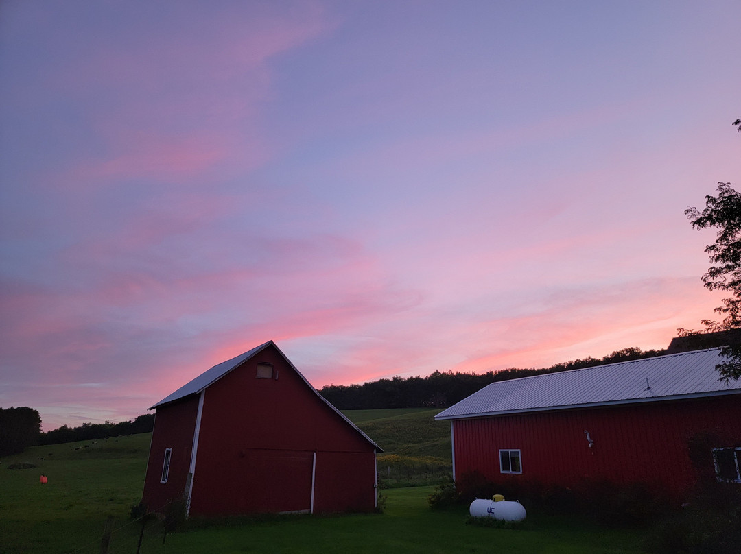 Waarvik's Century Farm Bed and Breakfast