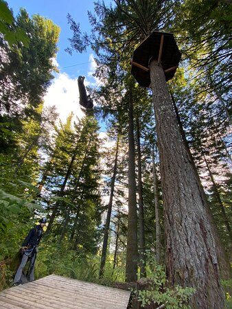 Skamania Lodge Zip Line Tour-Stevenson必去景点