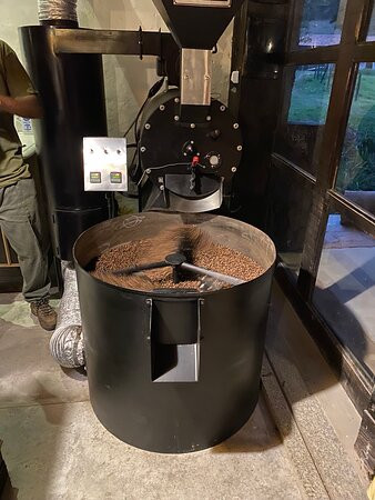 Fazenda Allianca Agro景点图片