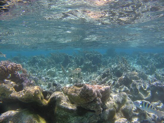 Pension Teheimana主图