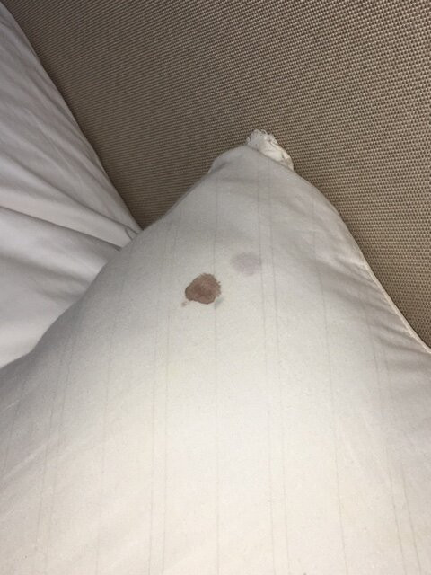 Wintergreen Resort主图