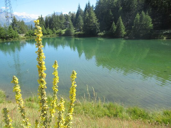 Lago Di Joux景点图片