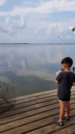 Dauphin Island Harbor House主图