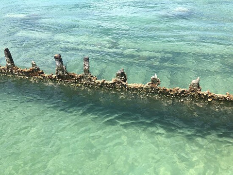 Lagerheads Beach Bar and Watersports-基韦斯特必去景点