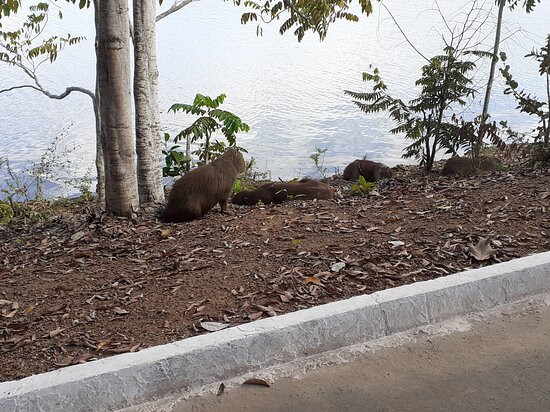 Cesamar Park-Palmas必去景点