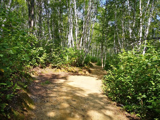 Parc National d'Aiguebelle-Rouyn-Noranda必去景点