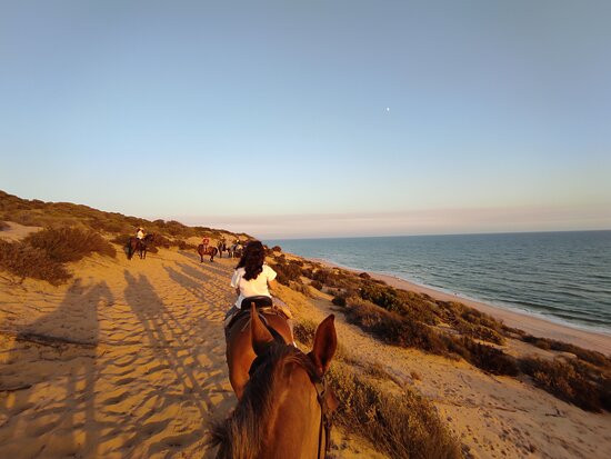 Doñana Hipica El Pasodoble景点图片