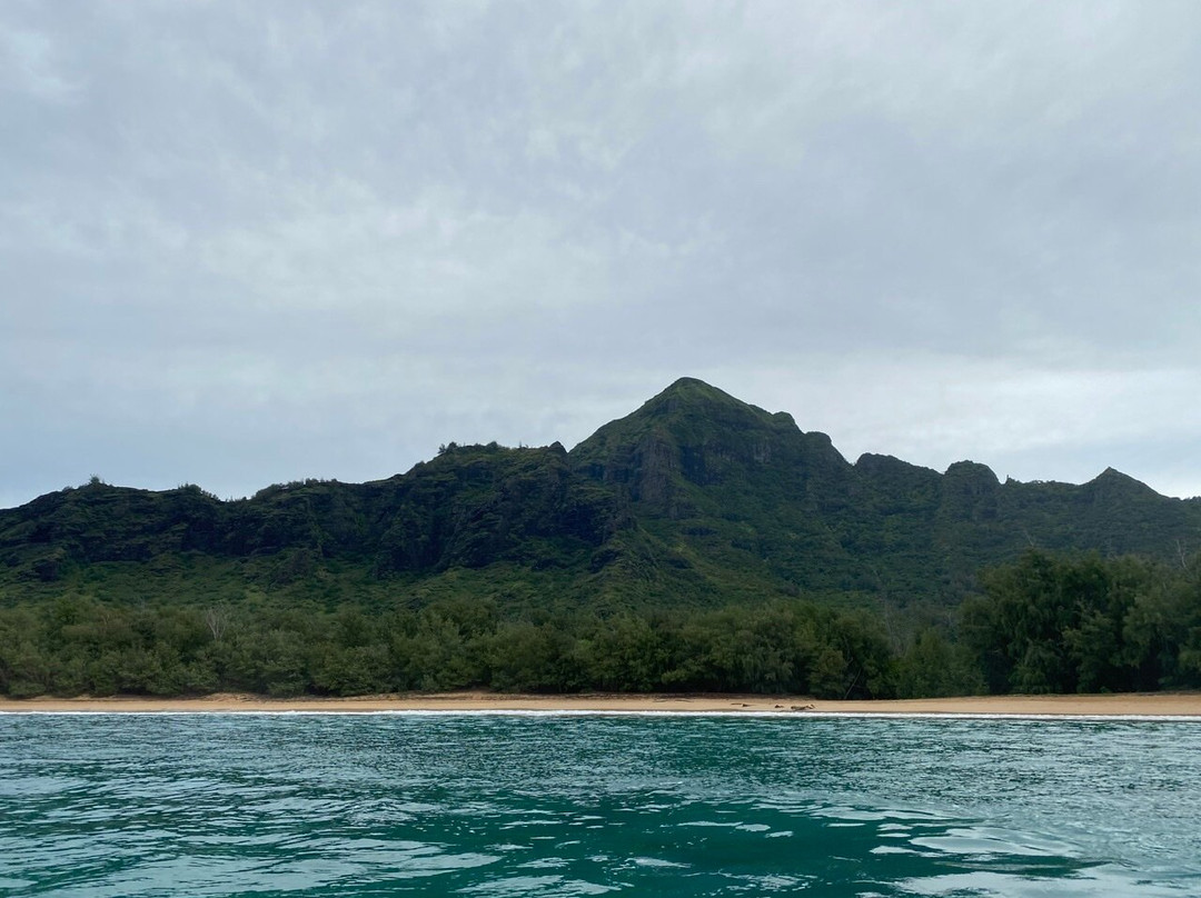 Kauai Sea Rider Snorkel & Whale Watching Tours-坡伊普必去景点